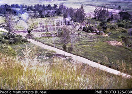 'Ulya Plantation, Mount Hagen: view of Komun River valley village coffee and sweet potato gardens...