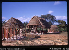 'Construction of fales in the Tropical Garden, Vuna Road (to west of Dateline Hotel), Tonga'