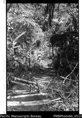Steps leading down to creek at Gold Ridge