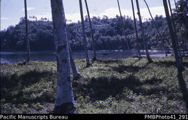 'Lavaro plantation and Naro Bay and hill, Guadalcanal West'