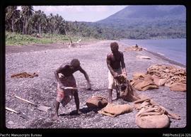 'Sydney, headman of Sikile village, loading gravel at Kenelo, Rendova Island'