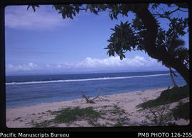 'Beach on east coast, Tonga'