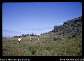'Grassland with isolated coral blocks in south-east 'Eua, Tonga'