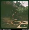 "At Jukuna - on way back from caves. Preparing wig for sing-sing 2 weeks hence. Will sleep o...
