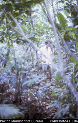 [Unidentified man] 'Vegetation on old road to Mt Austen, Guadalcanal'