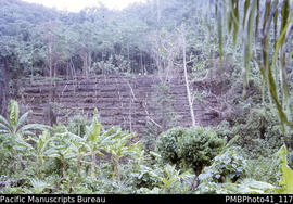 'Tatalua & Viru [standing in garden], Weather Coast, Guadalcanal'