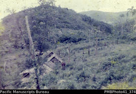 'Small pagan settlement near Kwaio/Ariari [Areare] boundary, Malaita'