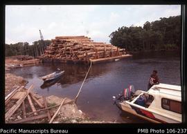 [Logs loaded for illegal export, Potowai Buru, Kamoro area.]