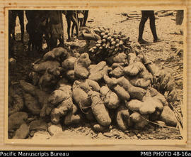 Yams & bananas, Naho village prior to being carried to a feast in Makaruka