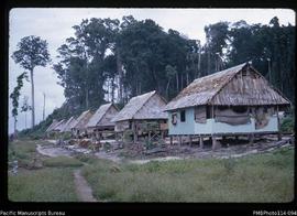 'Houses on Wagina Island'