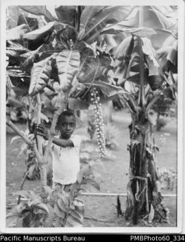 ni-Vanuatu young boy standing among fruit trees
