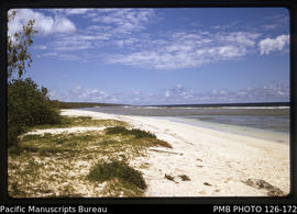 'Beach at Kolovai, looking southwards, Tonga'