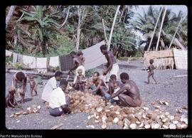 'Husking and shelling coconuts for copra making, Vori, Ranonnga Island