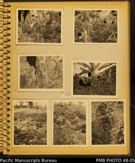 Photograph album, page 3: Betzel's pana garden.