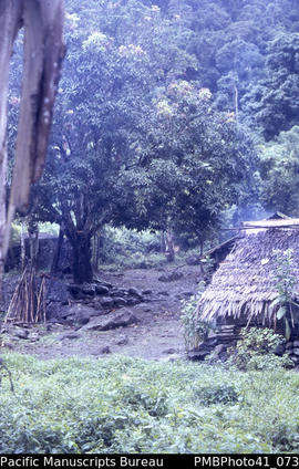'Tambili – Sutakiki, Guadalcanal'