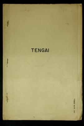 Report Number: 304 Tengai Reconnaissance Survey, 5pp. Includes map with scale 1”= 10 chns
