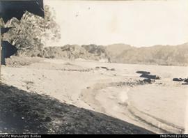 'View of house and bluff and bay from river.' Wintua, Malekula