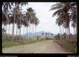 'View to Mount Gallecho from coast road, Guadalcanal'