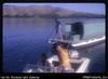 On Oram canoe with Fingo [Jim Fingleton] to reef, Motupore etc At Bootless Bay wharf Fingo [Jim F...