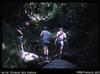 Climbing up Mt [Timbertop] near MYY [Menyamya] to see smoked bodies.  Kids getting water in bambo...
