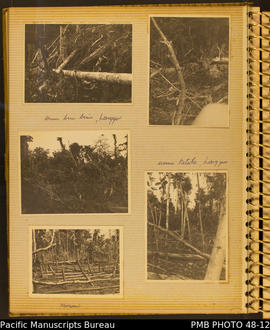 Photograph album, page 10: Storage - Kaho Kaho, Valasi and Kaho [Naho?]