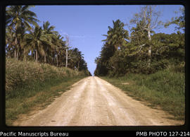 'Coral road with coconuts on Tongatapu, Tonga'