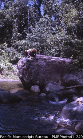 'Cleaning the petroglyph rock – Kokona – Hoilava River, Guadalcanal West'