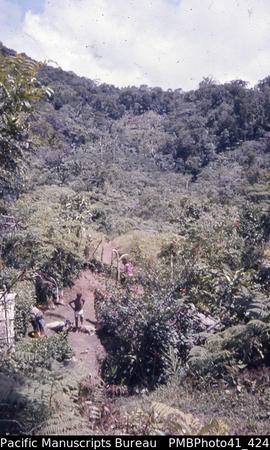 Pagan settlement, Baeguu bush, Malaita