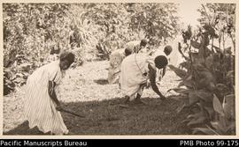 Women cutting grass at Vaemali hospital, Epi
