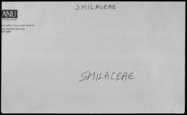 Smilacaceae