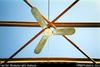 Fan in ceiling of building with its roof missing [Loloho Bougainville]