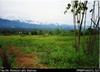 View over prison land from newly installed tank, Buimo Correctional Institution, outside Lae, Mor...