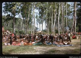 'Nikamororo Island people hair dance, Boxing Day, Kukutin Village, Wagina Island