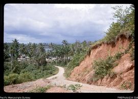 'Levers Pacific Timbers road on Gizo Island with cutting showing lateritic soil'