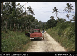 'Liz Baker, Tongan guide and Datsun van on road, Tonga'