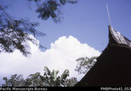 'Roof feature, South Guadalcanal'