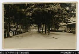 ‘Road at Rabaul on way to Govt. House, 1914.’ [Postcard.]