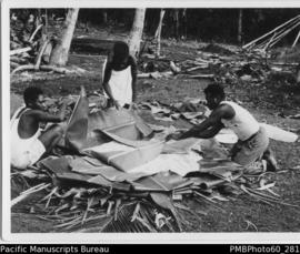 ni-Vanuatu men covering the laplap