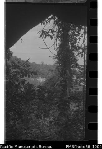 Open original Digital object