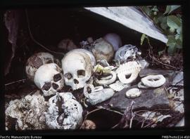 'Ceremonial grave skulls and shell money at Sikile village, Roviana Lagoon'