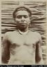 'ditto' ['Native of Aola, Guadalcanal']