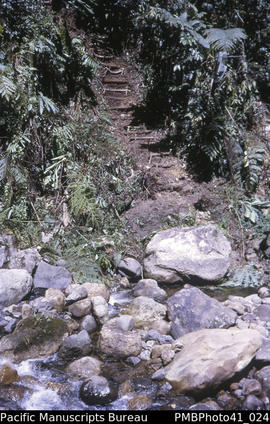 'CRA exploration camp Gold Ridge, Guadalcanal – steps to Charovongo River'