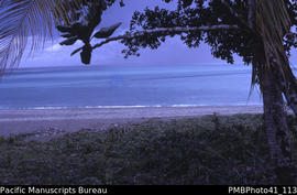 'Talise, Weather Coast, Guadalcanal'