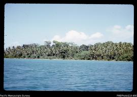 'Island in the Wana Wana lagoon, with coconuts and mangroves'