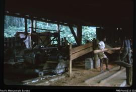 'Sawing timber at the Monga Sawmill'