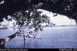 'Honiara anchorage looking west, Point Cruz'