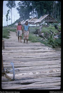 'Bridge over the creek, looking towards Kukutin Village, Wagina Island'