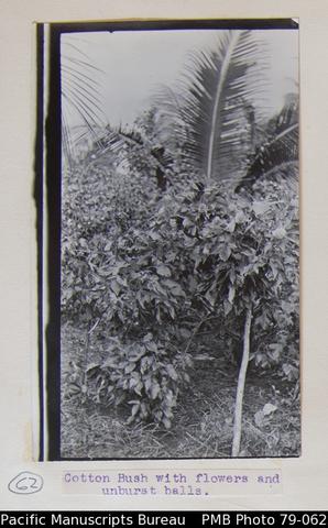 Open original Digitaal object