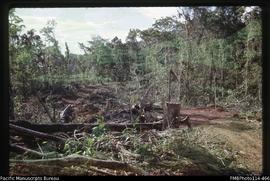 'Partly built logging road, Gizo Island'