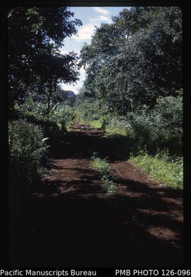 'Dirt section of Lakafa Road on 'Eua, Tonga'